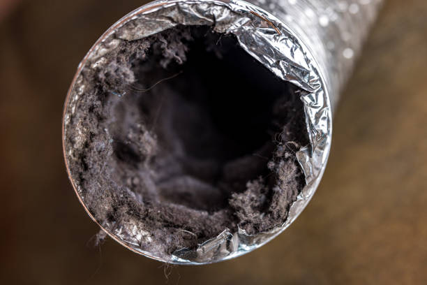 Best Best Air Duct Cleaning Company  in Tonawanda, NY